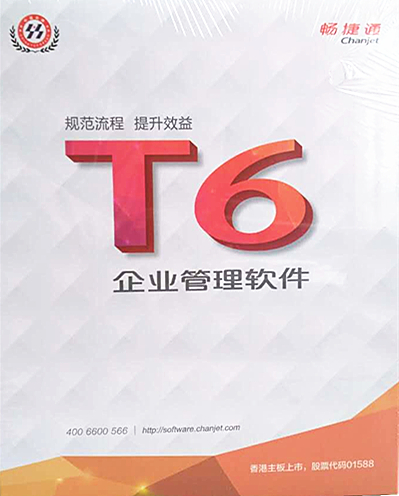 T6